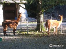 Zoological Garden Dahlholzli-伯尔尼