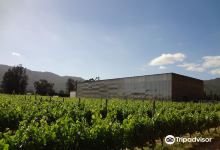 Vina Las Ninas景点图片