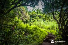 皮皮崴小径-茂宜县