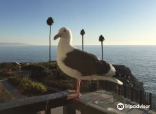 皮斯莫海滩-圣路易斯－奥比斯波县