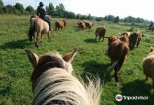 Haras Henson景点图片