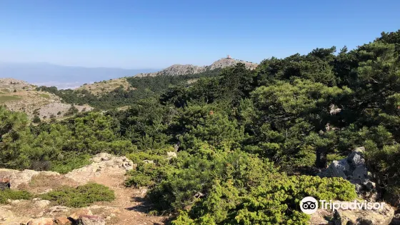 Mount Spil