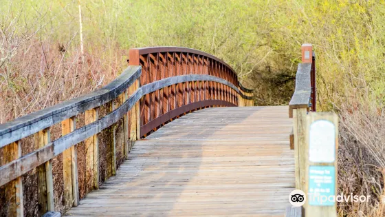 Mercer Slough Nature Park