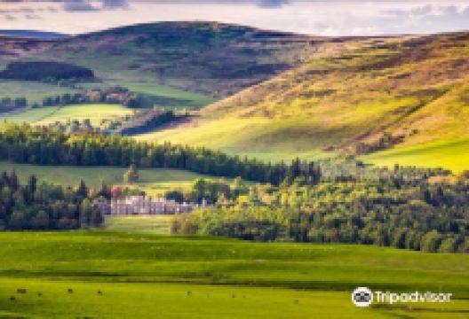 Bowhill House & Country Estate景点图片