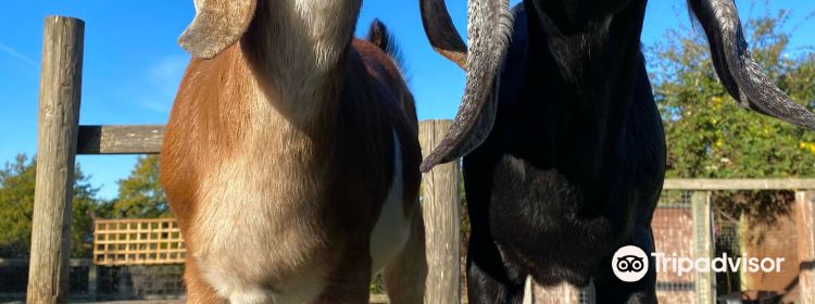1035334097
