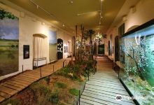 Museum Mensch & Jagd e.V.景点图片