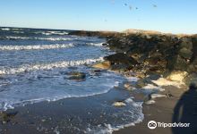 Brant Rock Beach景点图片