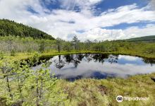 Mohos Peat-Bog景点图片