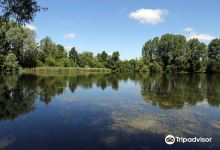 Langford Lakes Nature Reserve景点图片