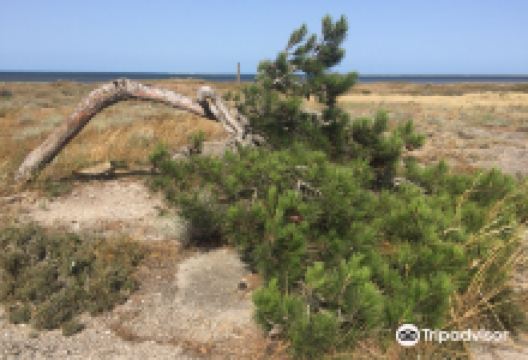 Absheron National Park景点图片