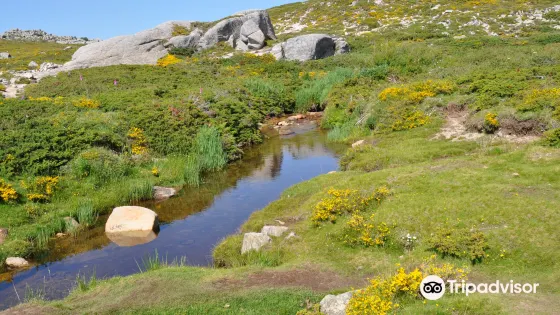 Plateau de Coscione