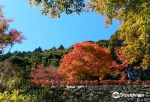 雷山千如寺景点图片