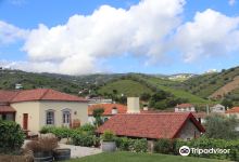 Quinta da Casa Amarela景点图片