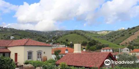 Quinta da Casa Amarela