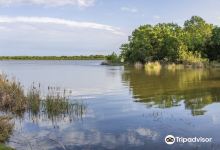Purtis Creek State Park景点图片
