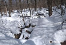 High Point Cross Country Ski Center景点图片