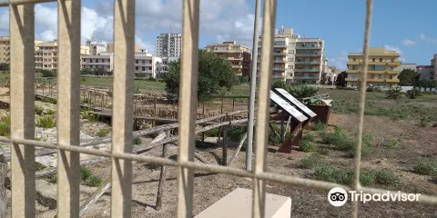 Grotta della Sibilla