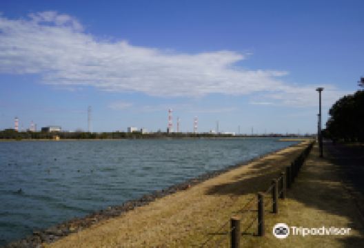 Gonoike Green Park景点图片