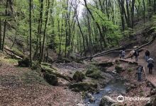Dera Creek景点图片