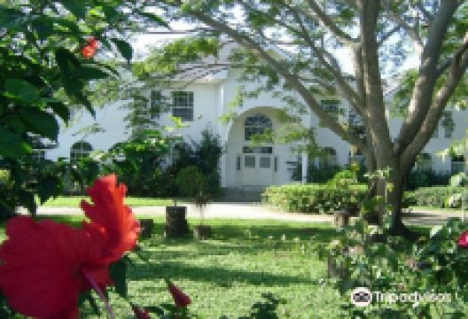 Museum of Nature Artistry景点图片