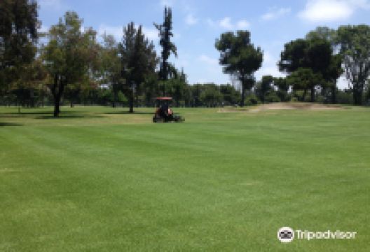 Mile Square Golf Course景点图片