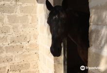 Azienda Agricola - Caseificio Puzze Matine景点图片