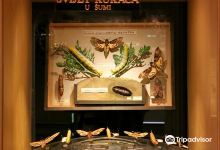The World of Insects景点图片