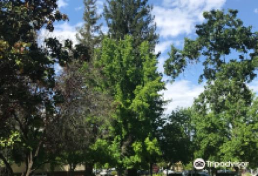 Ukiah Civic Center景点图片