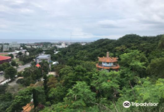 鲤鱼山公园景点图片