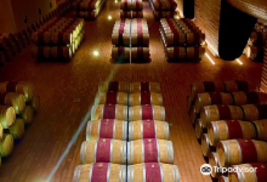 Cantina Antinori景点图片