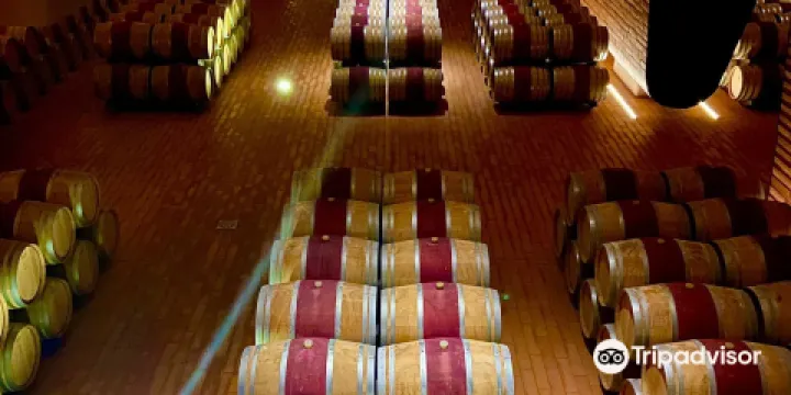 Antinori nel Chianti Classico