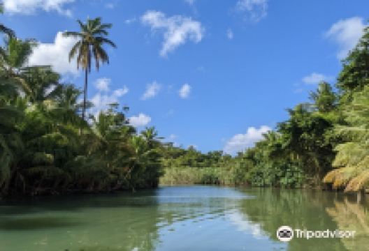 Indian River景点图片