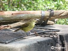 Bonamanzi Game Reserve-赫卢赫卢韦