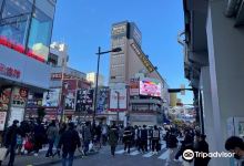 Yakushi Ai Load 购物区景点图片