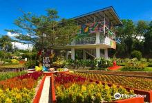 Girasoles Farm Candelaria购物图片