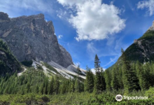 Dolomiti Slowbike购物图片