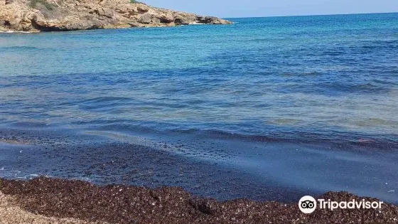 Calamosche Beach