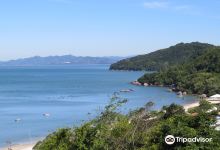 Zimbros Beach景点图片