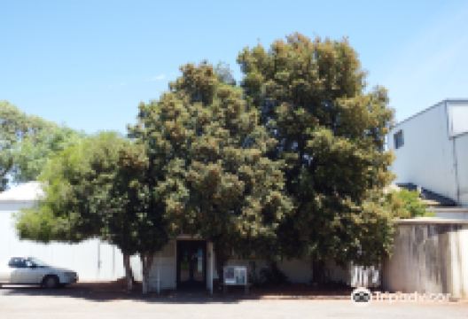 Lillypilly Estate景点图片