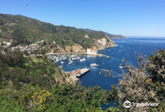 Nature Center at Avalon Canyon景点图片