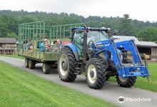 Ryerss Farm for Aged Equines景点图片