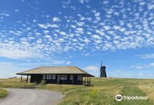 Beacon Hill Local Nature Reserve景点图片