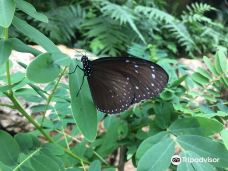 琉宫城蝴蝶园-本部町