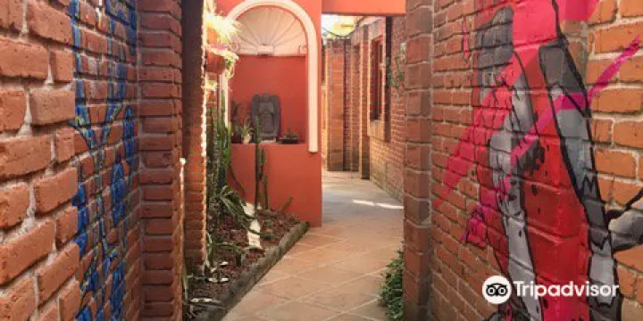 Francisco Pelaez Ethnobotanical Garden