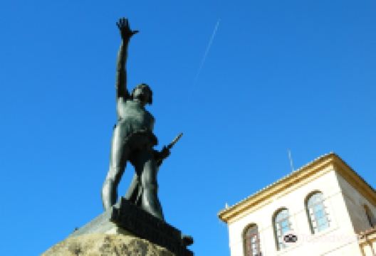 Estatua de Viriato景点图片