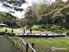 Meiji Shrine Imperial Garden-东京