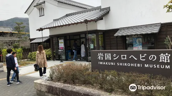 岩國白蛇博物館