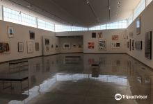 Daum Museum of Contemporary Art景点图片