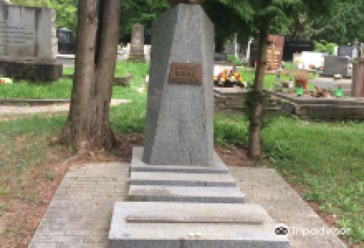 National Cemetery景点图片