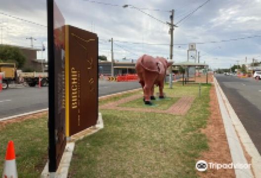 Birchip's Mallee Bull景点图片